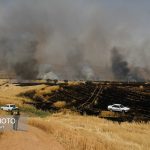 آتش سوزی مزارع کوهدشت