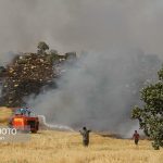 آتش سوزی مزارع کوهدشت