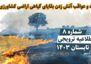 اثرات و عواقب آتش زدن بقایای گیاهی اراضی کشاورزی