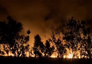آتش‌زدن شبانه کاه و کلش مزارع در فارس (فیلم)