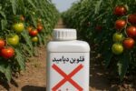 حشرهکش فلوبندیامید از فهرست سموم مجاز کشور حذف شد