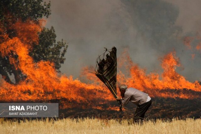 آتش سوزی مزارع کوهدشت