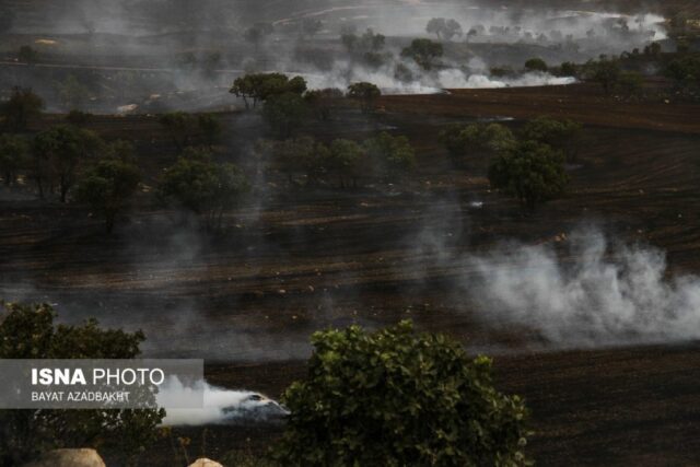آتش سوزی مزارع کوهدشت