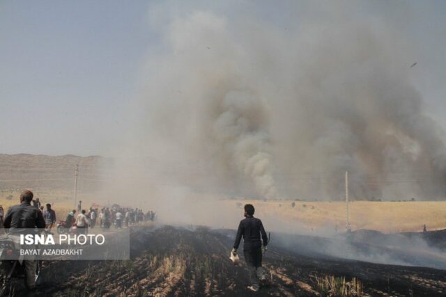 آتش سوزی مزارع کوهدشت