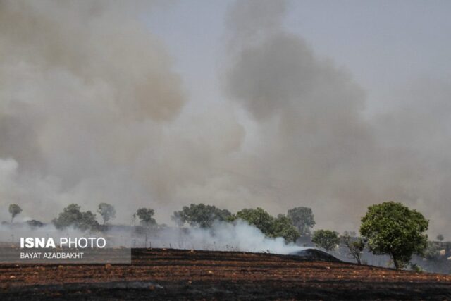 آتش سوزی مزارع کوهدشت
