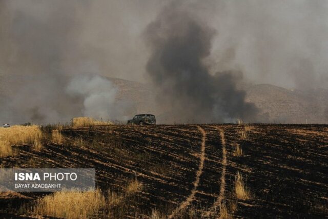 آتش سوزی مزارع کوهدشت