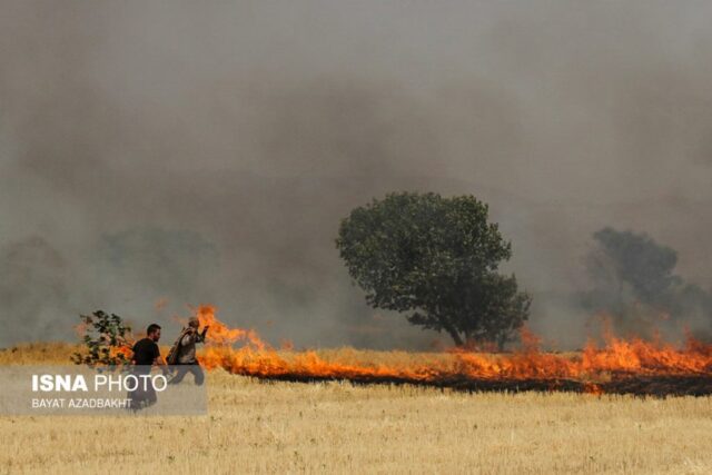 آتش سوزی مزارع کوهدشت