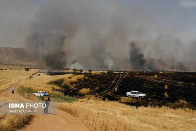 آتش سوزی مزارع کوهدشت