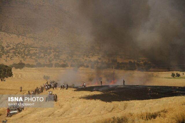 آتش سوزی مزارع کوهدشت