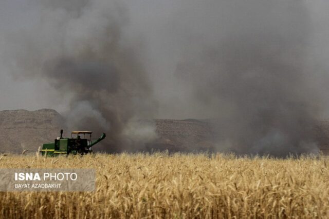 آتش سوزی مزارع کوهدشت