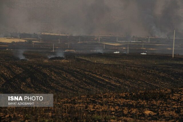 آتش سوزی مزارع کوهدشت