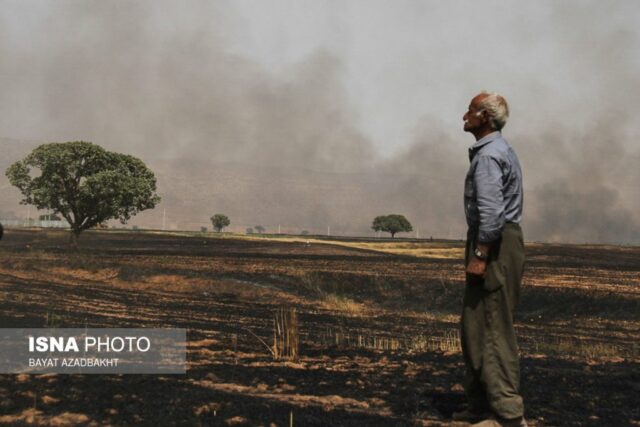 آتش سوزی مزارع کوهدشت