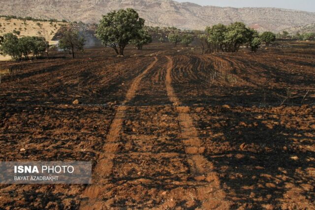 آتش سوزی مزارع کوهدشت