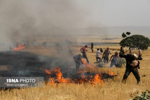آتش سوزی مزارع کوهدشت