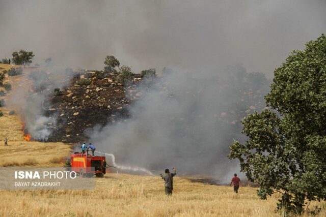 آتش سوزی مزارع کوهدشت