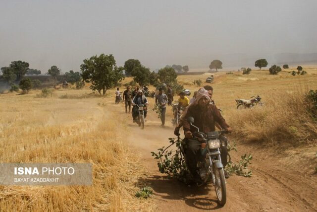 آتش سوزی مزارع کوهدشت