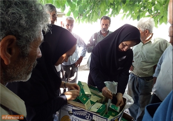 کنترل بیولوژیک با زنبور تریکوگراما در سیمرغ تریکوگراما-شهرستان سیمرغ