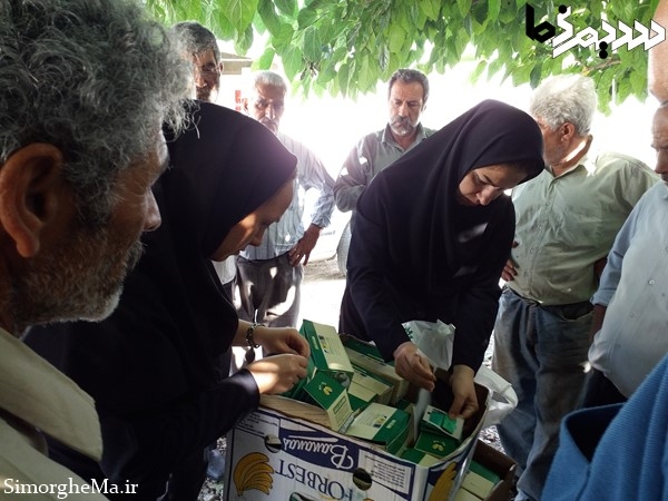 کنترل بیولوژیک با زنبور تریکوگراما در سیمرغ