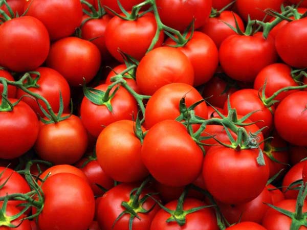 قزاقستان واردات گوجه فرنگی از آذربایجان را ممنوع اعلام کرد