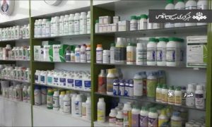 راه اندازی داروخانه گیاه پزشکی در شیراز