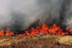 کشاورزان، کاه و کلش مزارع را آتش نزنند