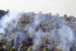 مهار کامل آتش سوزی جنگل های خائیز کهگیلویه و بویراحمد / ۴۶۰ هکتار جنگل دچار حریق شد