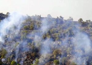 مهار کامل آتش سوزی جنگل های خائیز کهگیلویه و بویراحمد / ۴۶۰ هکتار جنگل دچار حریق شد