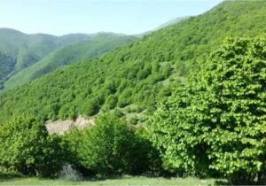 واگذاری ماده ۳ نظارت بر طرح های حفظ و بهره برداری جنگل و مراتع به سازمان نظام مهندسی کشاورزی و منابع طبیعی فارس
