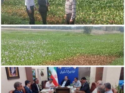 بررسی راهکارهای مقابله با سنبل آبی در آب‌بندان آغوزبن