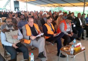 رزمایش مقابله با آفت مگس میوه مدیترانه‌ای در نکا + فیلم