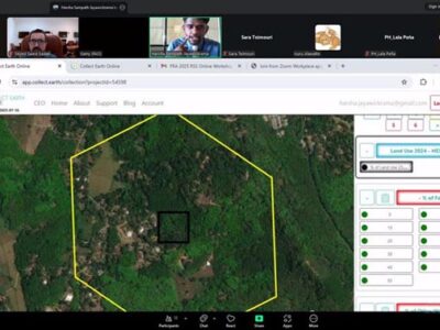 حضور متخصصان ایرانی در کارگاه آنلاین برنامه ارزیابی منابع جنگلی ۲۰۲۵ فائو