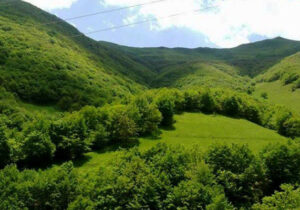 زاگرس، قلب تپنده چرخه آب ایران/طرح جنگلداری اجتماعی وارد مرحله اجرا شد