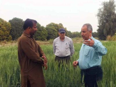 اجرای ۷.۵ میلیون هکتار کشاورزی حفاظتی با تصویب دولت/صرفه‌جویی ۴.۵ میلیارد مترمکعبی آب با کشاورزی حفاظتی