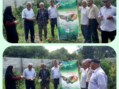 برگزاری کارگاه‌های آموزشی کنترل مگس میوه مدیترانه‌ای در مازندران