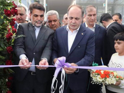 افتتاح گلخانه گل رز شاخه بریده در شهرستان بهار/مساحت گلخانههای کشور به ۲۶ هزار هکتار رسیده است + فیلم