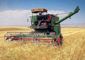 ضرورت تعیین قیمت تضمینی مناسب برای گندم در سال زراعی جدید/احتمال قاچاق گندم به علت تعیین نشدن نرخ خرید تضمینی