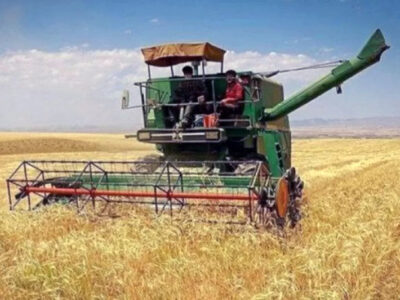 ضرورت تعیین قیمت تضمینی مناسب برای گندم در سال زراعی جدید/احتمال قاچاق گندم به علت تعیین نشدن نرخ خرید تضمینی