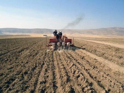 بلاتکلیفی کشاورزان در آغاز سال زراعی