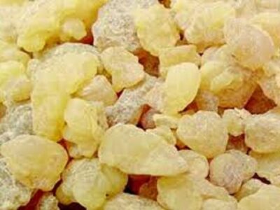 کندر میتواند التهاب ناشی از اماس را کاهش دهد