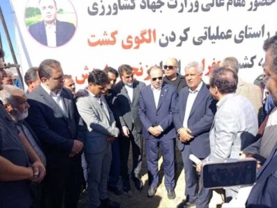 سطح زیرکشت زعفران در کشور به ۱۲۰ هزار هکتار رسید