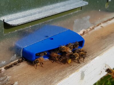 نوآوری برای سلامت زنبورها؛ HiveGate راهی تازه در طراحی ورودی کندو