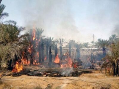 ۱۸ هزار اصله نخل خرما آبادان در آتش سوخت