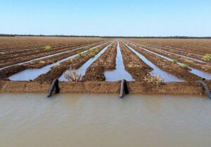 کشاورزی ایران به رنسانس نیاز دارد