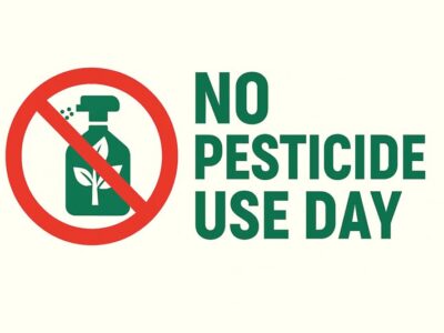 ۳ دسامبر: روز جهانی بدون سم + فیلم