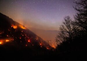 تغییر شرایط وقوع آتشسوزی جنگلها/ پاییز و زمستان هم در آتش