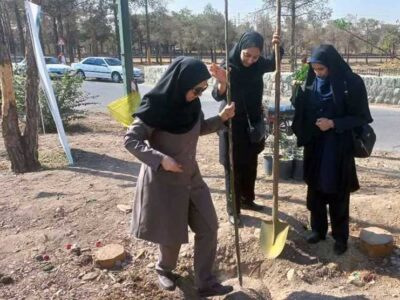 کاشت بیش از ۱.۴ میلیون اصله نهال در استان تهران/ ۳۹۸ هزار اصله نهال تا پایان اسفند توزیع می شود
